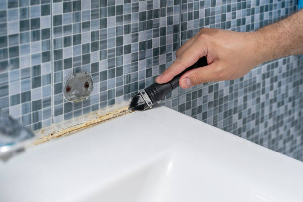 Best Black Mold Removal  in Rosemount, OH